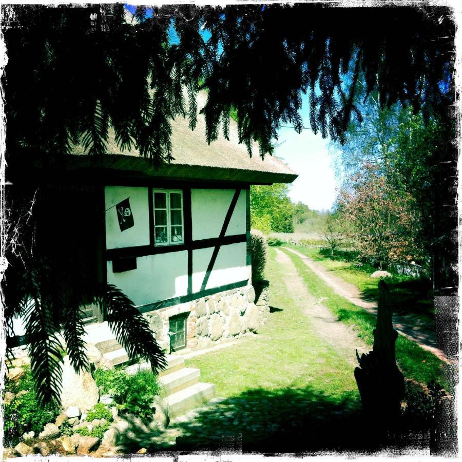 Apartment Vera, Naehe Binz In Traumhafter Alleinlage, 4-8 P. Zirkow 外观 照片