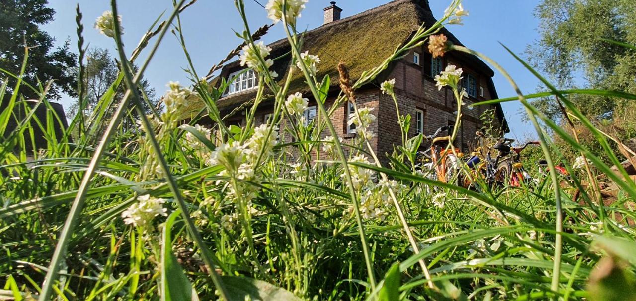 Apartment Vera, Naehe Binz In Traumhafter Alleinlage, 4-8 P. Zirkow 外观 照片